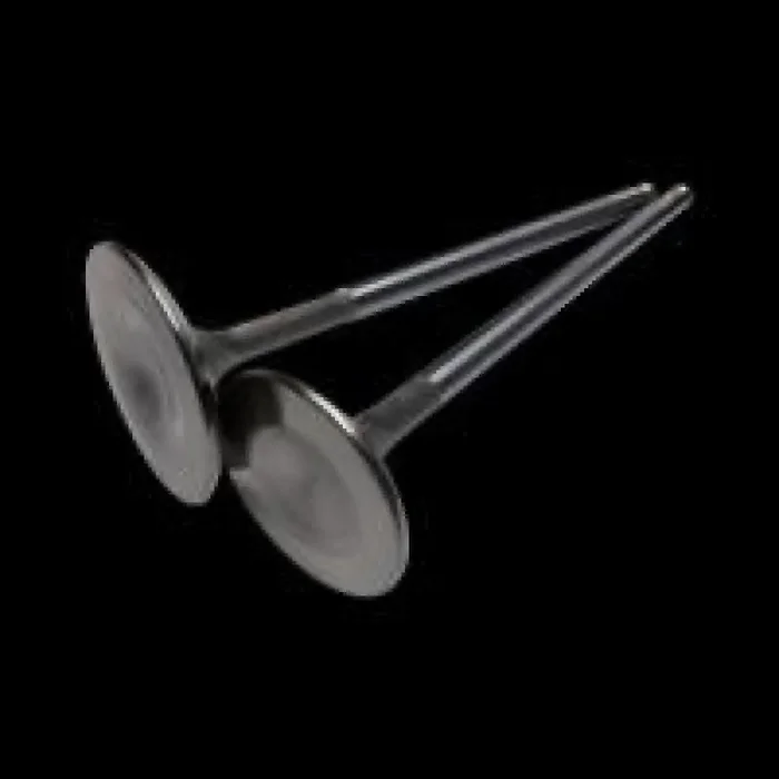 Brian Crower Valves – 29.2mm (STD) Nimonic Exhaust – Polaris XP1000 / XPTurbo