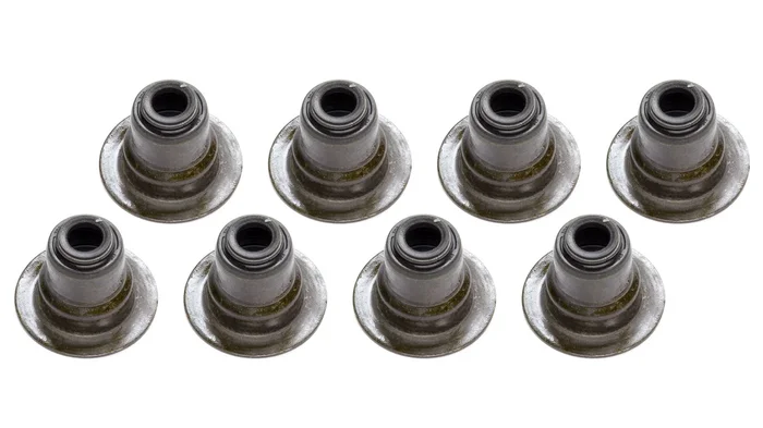 Chevrolet Performance Oil Seal Kit – Intake Valves Stems