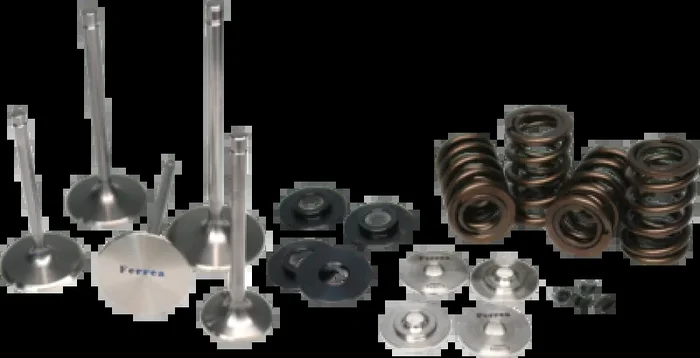 Ferrea 11-12 Polaris RZR XP900 Valve Spring Kit