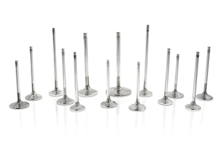 Ferrea Subaru EJ20 6mm Viton Hi-Temp Exhaust Valve Stem Seal – Set of 80.04 lb
