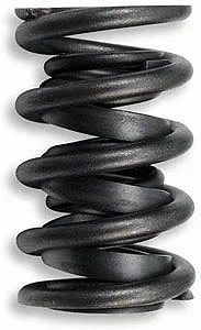Lunati Valve Spring Kit – 1.450 Dual w/Damper